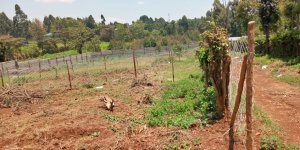 land for sale in gachie kiambu