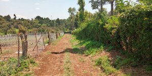 land for sale in gachie kiambu