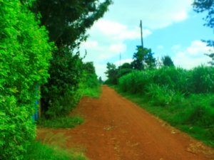 Plots for Sale in Kasphat