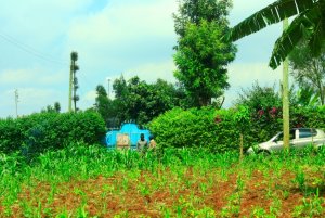 Plots for Sale in Kasphat