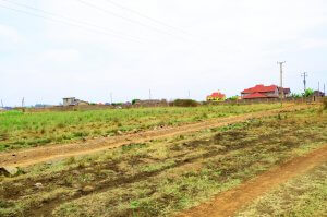 Land for Sale in Ngoingwa, Thika