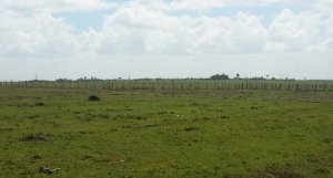 plots for sale in Rumuruti