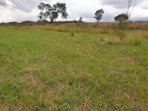 land for sale in Kericho