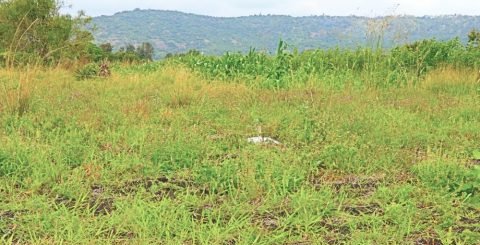 plots for sale in Rumuruti