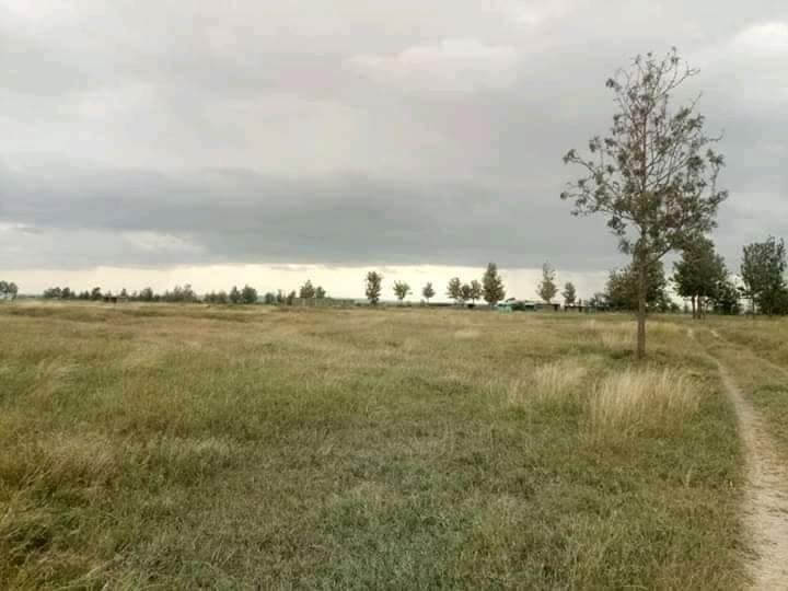 Land for Sale in Kiganjo, Thika