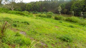 Thika Greens Plots for Sale