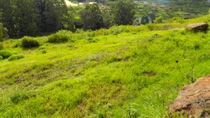 Thika Greens Plots for Sale