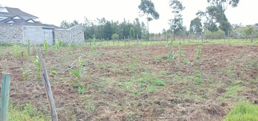 plots for sale in Eldoret Town