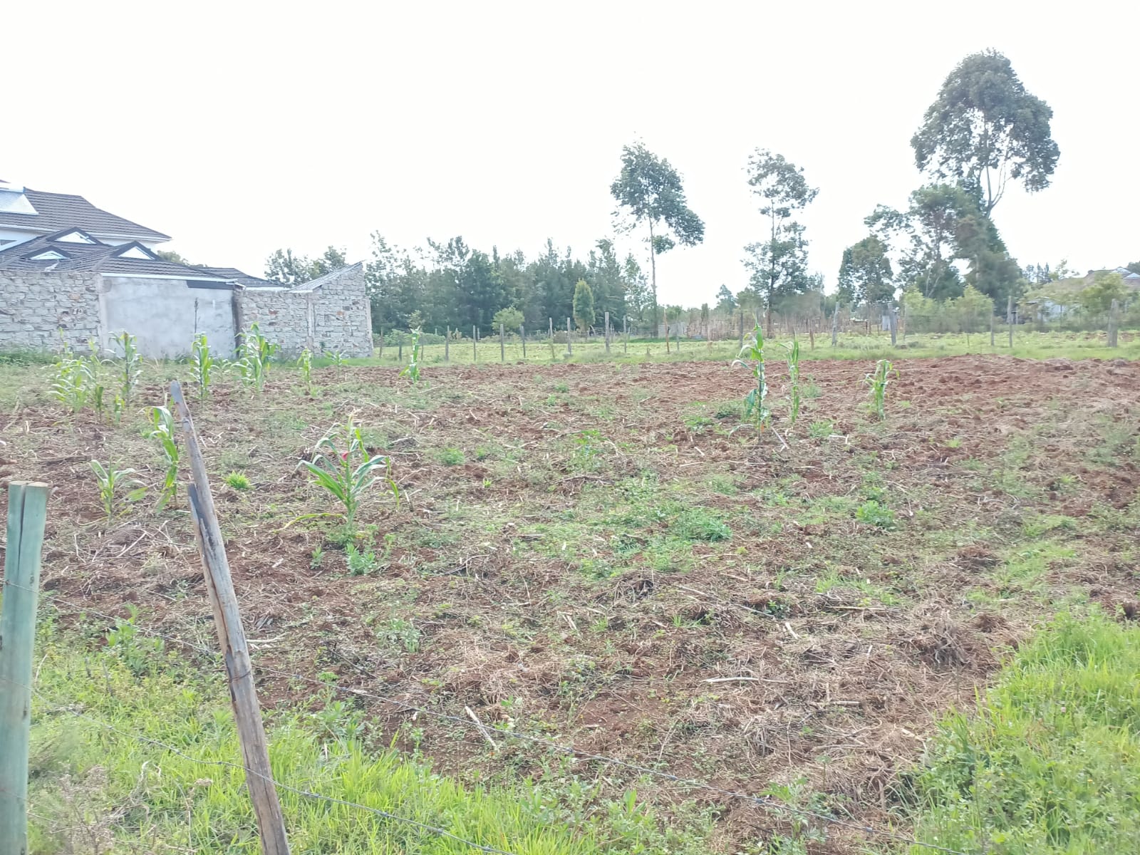 plots for sale in Eldoret Town