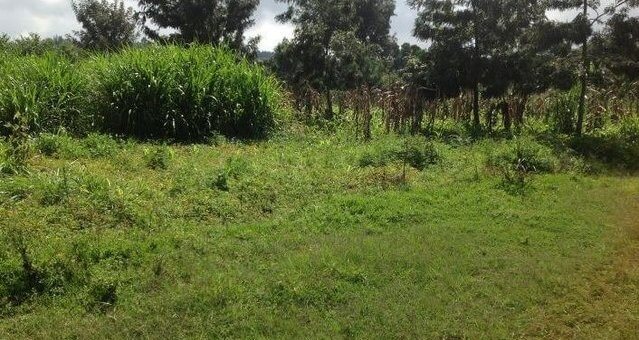 Land for Sale on Thika-Gatanga Road