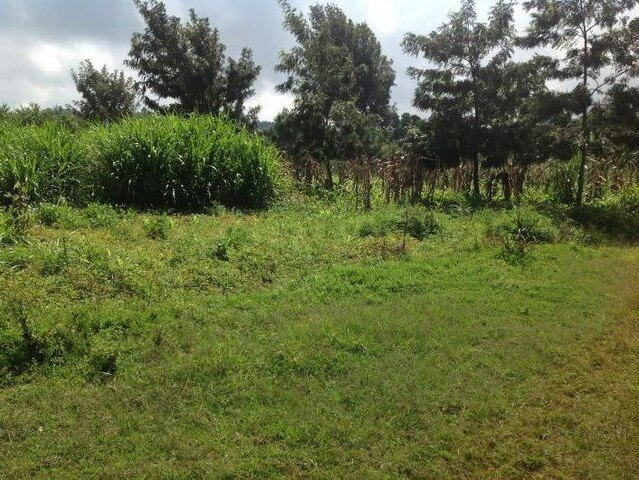 Land for Sale on Thika-Gatanga Road