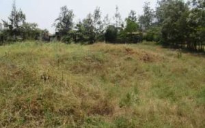 Land for sale in Lower Kabete