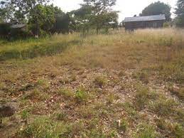 plots for sale in muguga thika