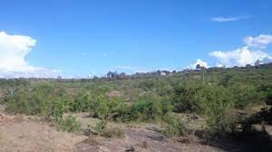 Land for sale in Kiganjo, Thika