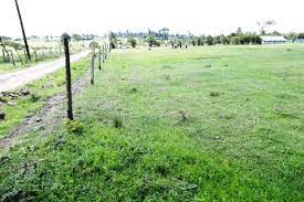 land for sale in Kieni