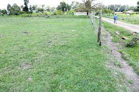 land for sale in Kieni