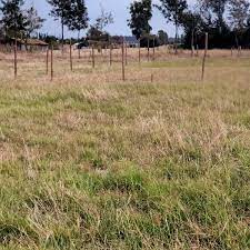 land for sale in Kieni