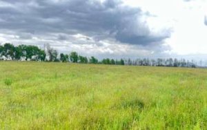 land for sale in Mukurweini