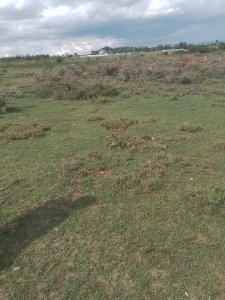 land for sale in Nanyuki Sweetwaters