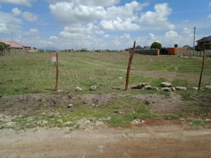 Kamakis Corner plots for sale