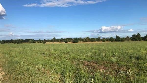 land for sale in Kieni