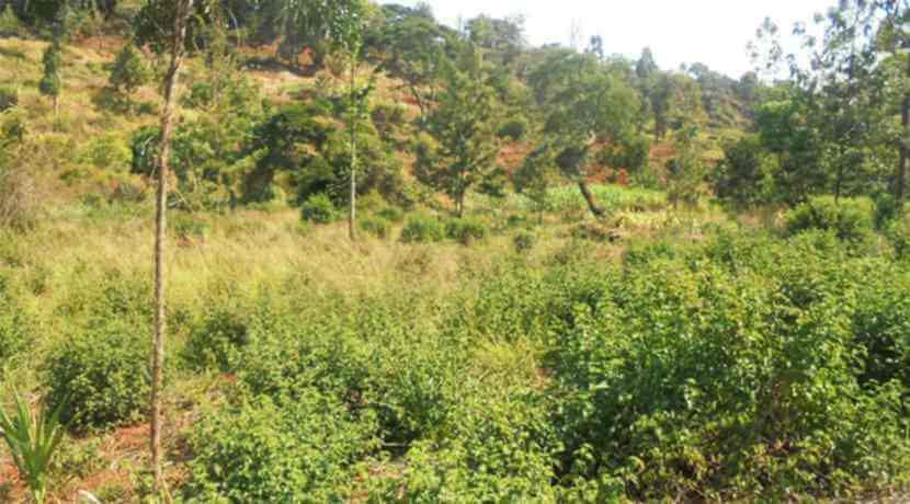 land for sale in Chaka