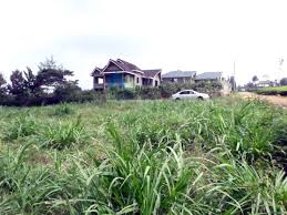 Plots for Sale in Kasphat