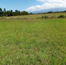 land for sale in Mukurweini