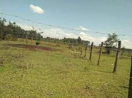 land for sale in Kapseret