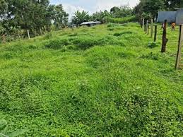 land for sale in Kericho