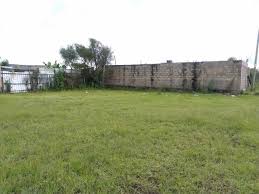 Plots for Sale in Ruiru Matangi