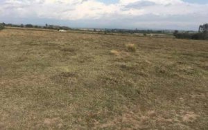 land for sale in Nanyuki Sweetwaters