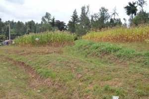 land for sale in Kenol