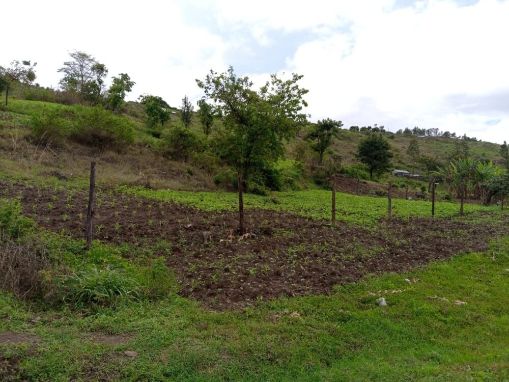 land for sale in Kenol