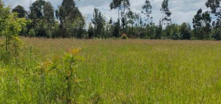 land for sale in Mukurweini