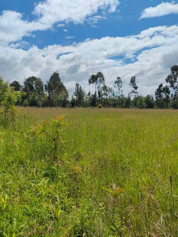 land for sale in Mukurweini