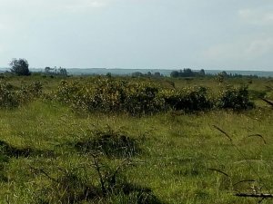 plots for sale in Rumuruti