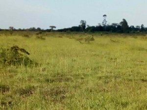 plots for sale in Rumuruti