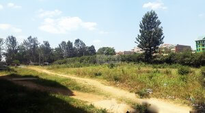 Plots for Sale in Thika Town