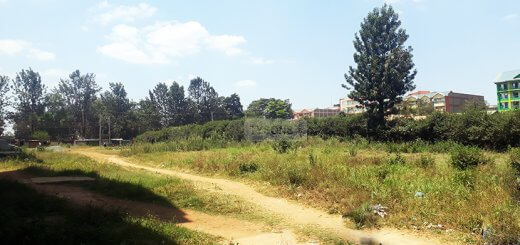 Land for Sale in Ngoingwa, Thika