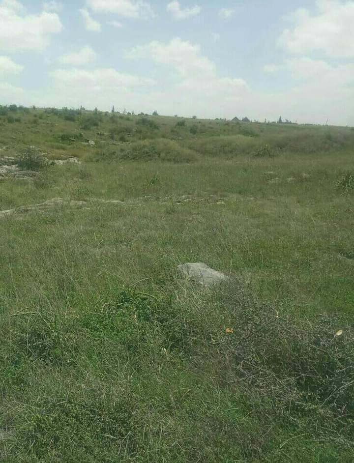 Plots for Sale in Thika Landless