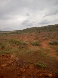 land for sale in Ngong Kibiko