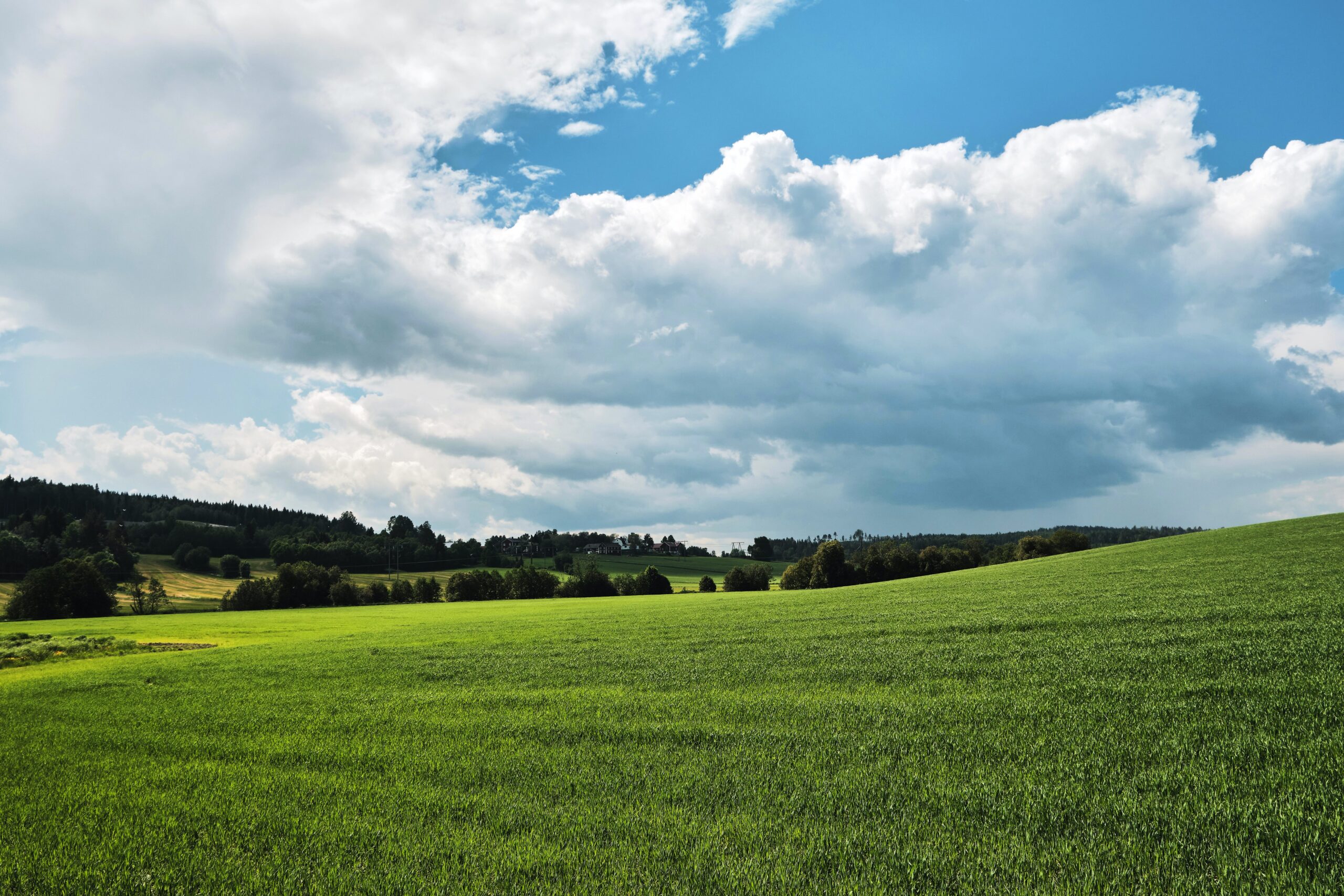 land for sale in nakuru