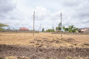 Plots for Sale in Thika Landless