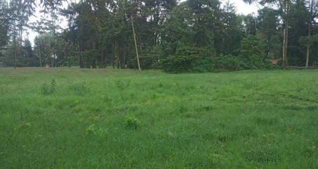 plots for sale in Zambezi