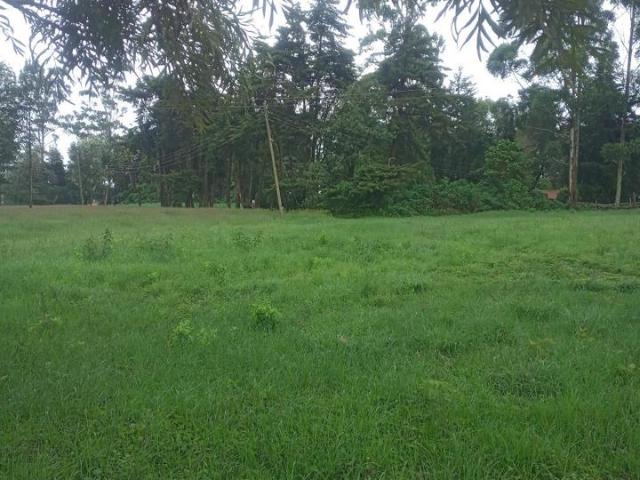 plots for sale in Zambezi