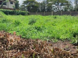 Plots for sale in Matangi