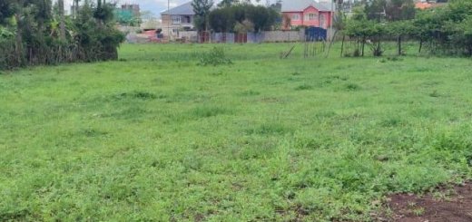 vacant land plot for sale in ruiru 9190082682946131039