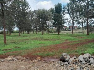 Plots for Sale in Thika Town