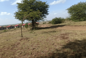 Land for sale in Kiganjo, Thika